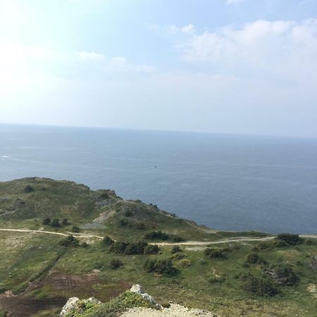 Mermaid Inn BnB Twillingate Bagian luar foto